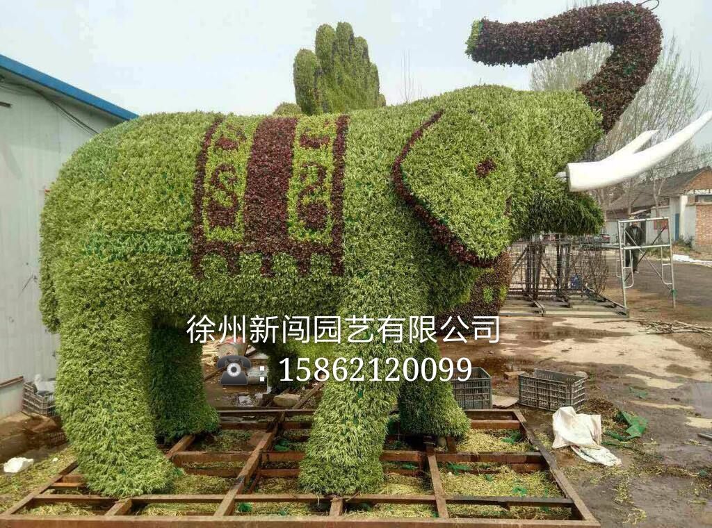 五色草大象制作工程